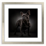 Framed wall art featuring a stylish silver mat showcasing a bulldog design, ideal for pet lovers' home decor. The artwork adds charm and personality to any room.