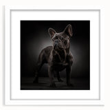 Framed wall art featuring a stylish bulldog design, set in a sleek white frame with a mat, showcasing a modern and playful aesthetic for dog lovers. Perfect for home decor.