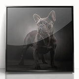 Framed wall art featuring a bulldog design with a black frame and acrylic cover, showcasing a playful canine in a vibrant, modern style, perfect for pet lovers' decor.