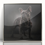 Framed wall art of a bulldog design, featuring vibrant colors and a sleek silver frame, displayed from the front view, perfect for pet lovers’ decor.