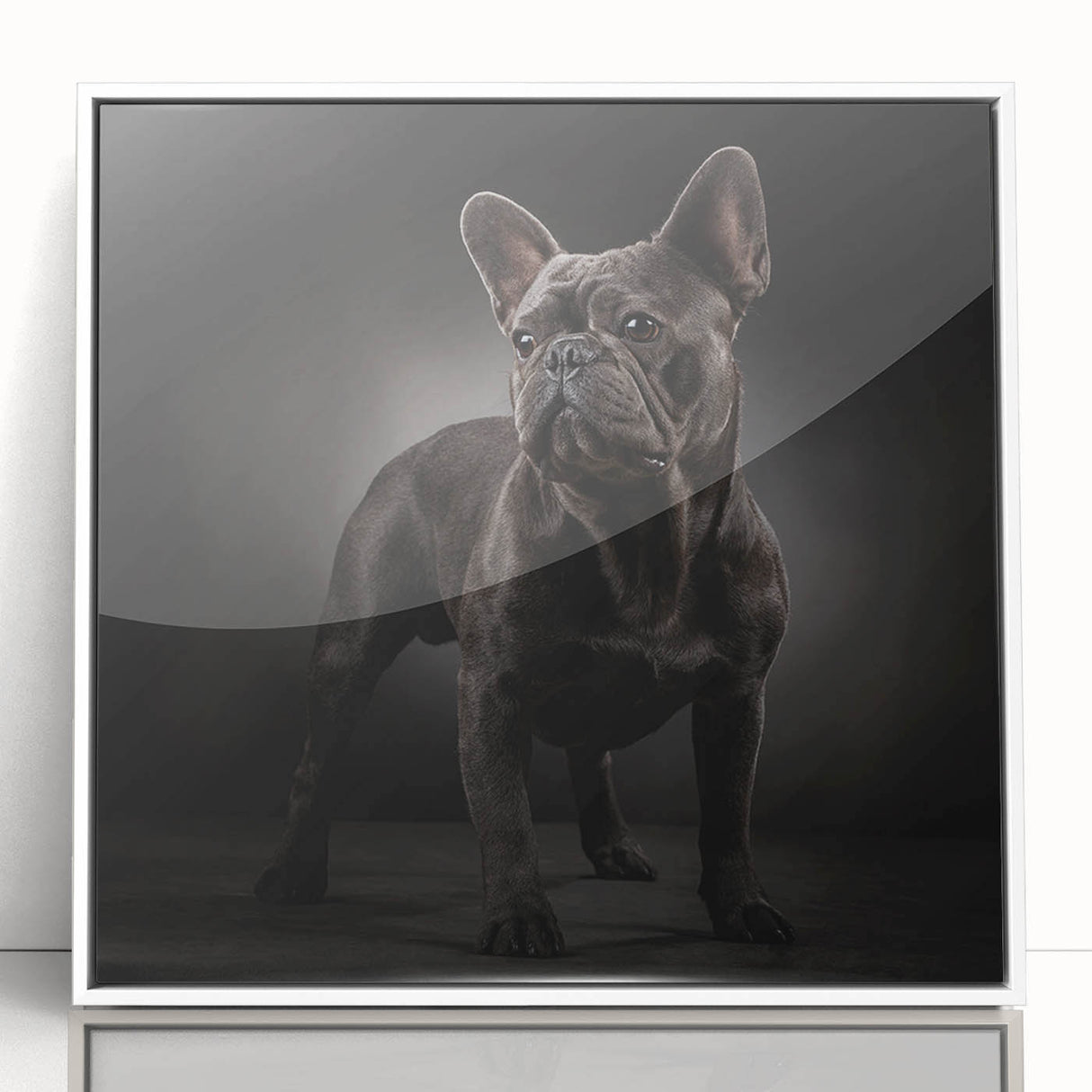 Framed acrylic wall art showcasing a bulldog design, featuring a white border and a sleek front view, perfect for pet lovers and home decor enthusiasts.