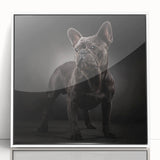 Framed acrylic wall art showcasing a bulldog design, featuring a white border and a sleek front view, perfect for pet lovers and home decor enthusiasts.
