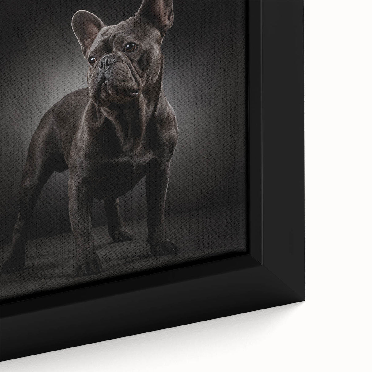 Close-up of a framed canvas wall art piece showcasing a bulldog design with vibrant colors and detailed textures, perfect for dog lovers and home decor enthusiasts.