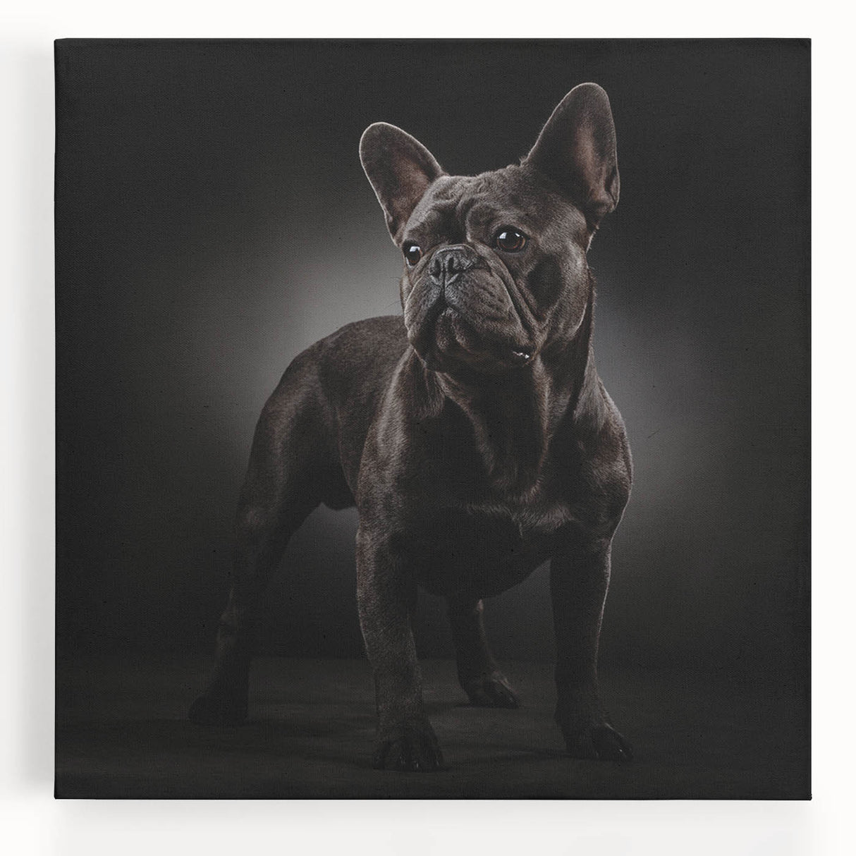 Stretched canvas wall art featuring a charming bulldog design, showcasing vibrant colors and intricate details, perfect for dog lovers' home decor.
