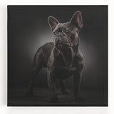 Stretched canvas wall art featuring a charming bulldog design, showcasing vibrant colors and intricate details, perfect for dog lovers' home decor.