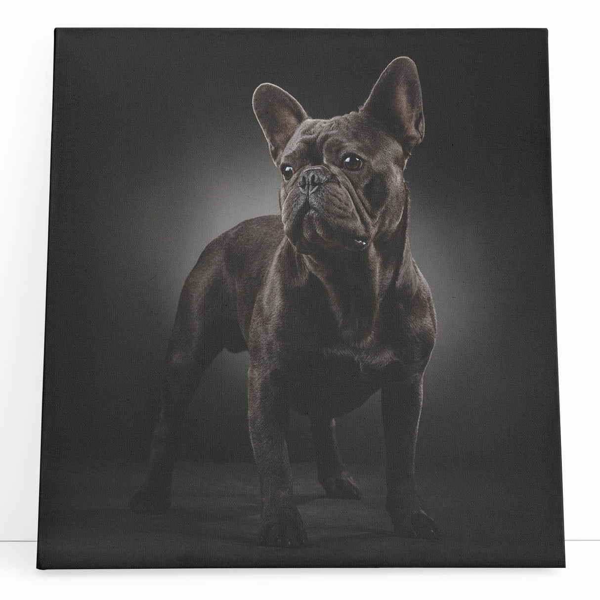 Stretched canvas wall art featuring a playful bulldog design, showcasing vibrant colors and detailed textures, perfect for dog lovers' home decor.