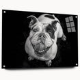 Acrylic wall art featuring a side view of a playful bulldog design, showcasing vibrant colors and intricate details, ideal for pet lovers' home decor.