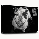 Acrylic wall art featuring a side view of a playful bulldog design, showcasing vibrant colors and intricate details, ideal for pet lovers' home decor.