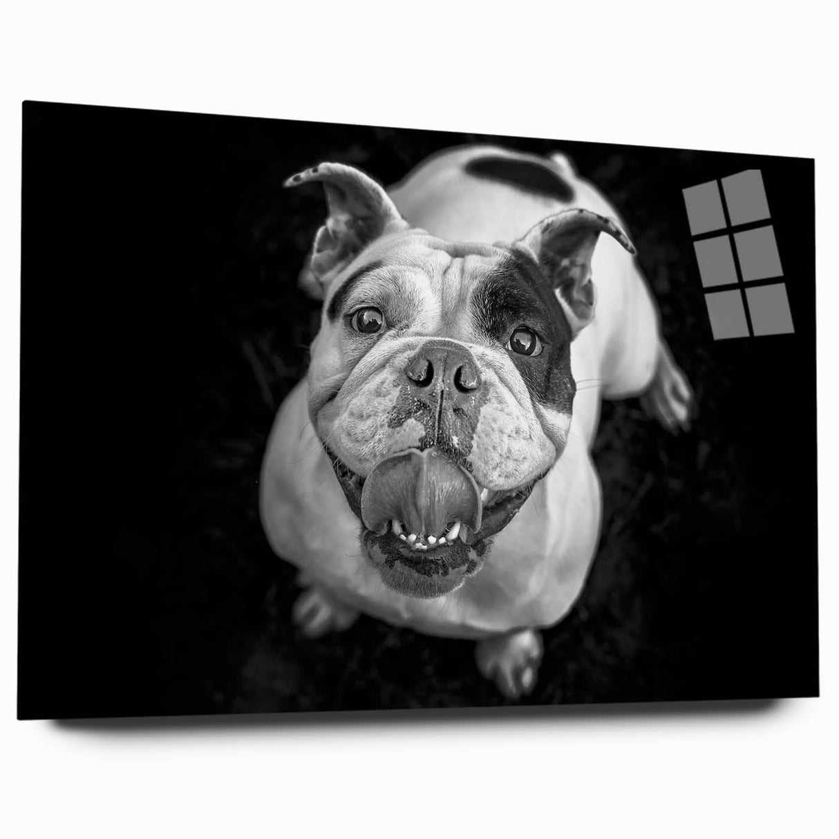 Acrylic wall art depicting a stylish bulldog design, showcasing vibrant colors and a sleek side view, perfect for modern home decor. Ideal for dog lovers.