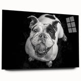 Acrylic wall art depicting a stylish bulldog design, showcasing vibrant colors and a sleek side view, perfect for modern home decor. Ideal for dog lovers.