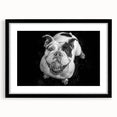 Framed wall art featuring a bulldog design in a stylish black frame with a mat. Perfect for dog lovers, this artwork adds a modern touch to any home decor.