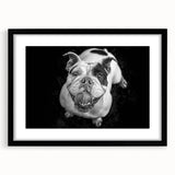 Framed wall art featuring a bulldog design in a stylish black frame with a mat. Perfect for dog lovers, this artwork adds a modern touch to any home decor.