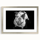 Framed wall art featuring a sleek silver design showcasing a bulldog illustration, complete with a mat for an elegant presentation, ideal for dog lovers.