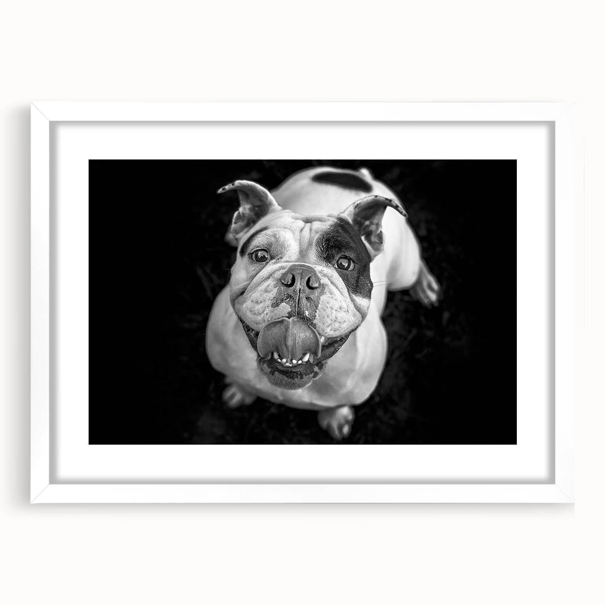 Framed wall art featuring a stylish bulldog design in a white mat, showcasing detailed illustrations and vibrant colors, perfect for dog lovers’ home décor.