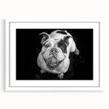 Framed wall art featuring a stylish bulldog design in a white mat, showcasing detailed illustrations and vibrant colors, perfect for dog lovers’ home décor.