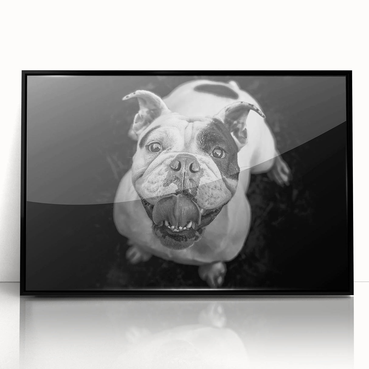 Framed acrylic wall art featuring a stylish black bulldog design, showcasing intricate details and vibrant colors, perfect for dog lovers' home decor.