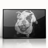 Framed acrylic wall art featuring a stylish black bulldog design, showcasing intricate details and vibrant colors, perfect for dog lovers' home decor.