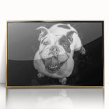 Framed wall art featuring a stylish bulldog design with a modern gold frame, ideal for pet lovers and home decor enthusiasts. Bright colors enhance any room.