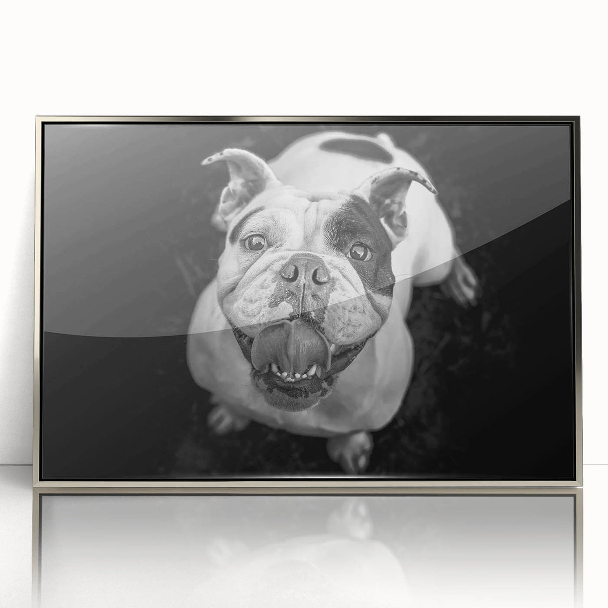 Framed wall art showcasing a silver-accented bulldog design in an acrylic finish, perfect for contemporary home decor. Ideal for dog lovers seeking stylish animal-themed decor.