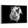 Framed wall art featuring a stylish bulldog design in a black frame, showcasing vibrant colors and intricate details, perfect for modern pet lovers' decor.