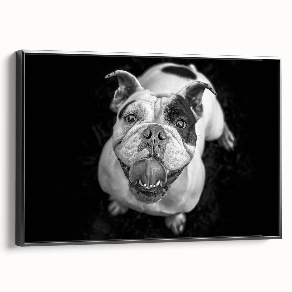 Framed wall art featuring a stylish bulldog design in a black frame, showcasing vibrant colors and intricate details, perfect for modern pet lovers' decor.
