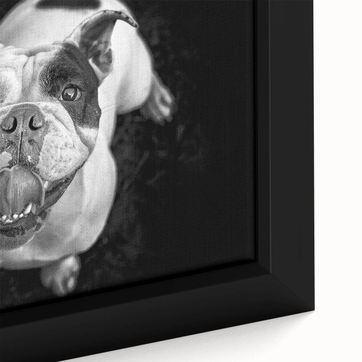 Close-up of a framed canvas artwork showcasing a detailed bulldog design, highlighting the dog's expressive face and vibrant colors, perfect for dog lovers.