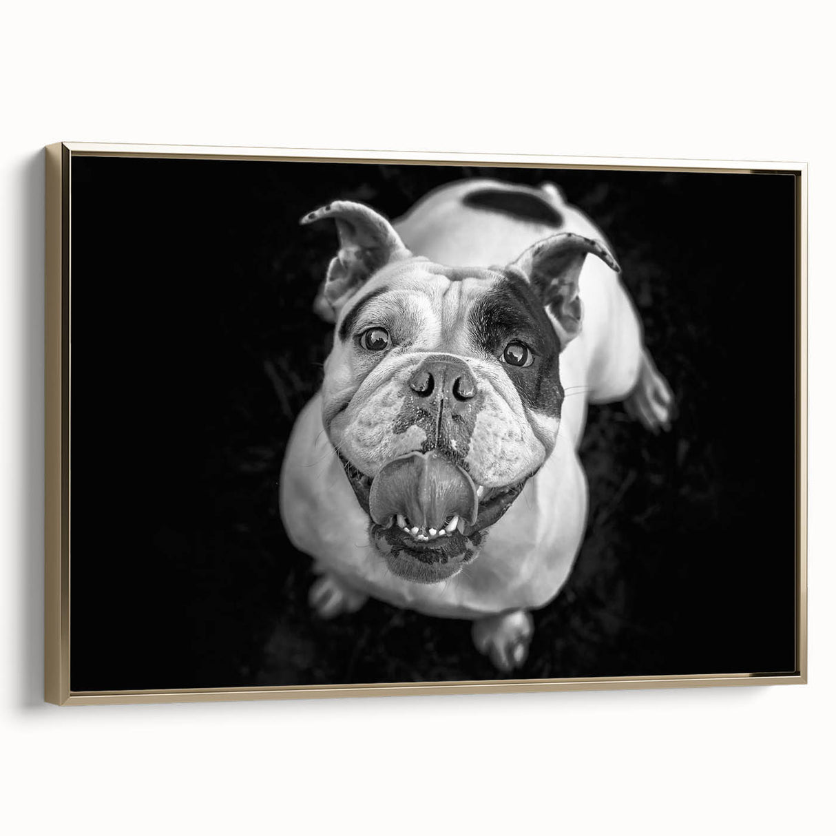 Framed wall art featuring a stylish bulldog design, showcasing rich colors and intricate details, perfect for pet lovers and modern home decor.