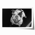 Bulldog-themed wall art print featuring vibrant colors and playful design, rolled and ready for display, perfect for dog lovers and home decor enthusiasts.