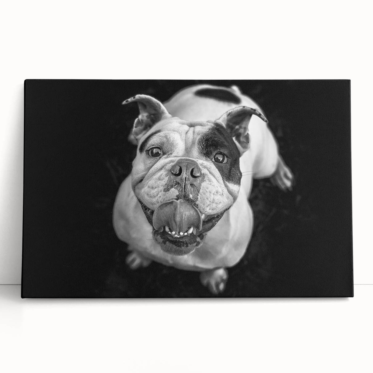 Stretched canvas wall art featuring a playful bulldog design, showcasing vibrant colors and a charming expression, perfect for pet lovers and home decor.