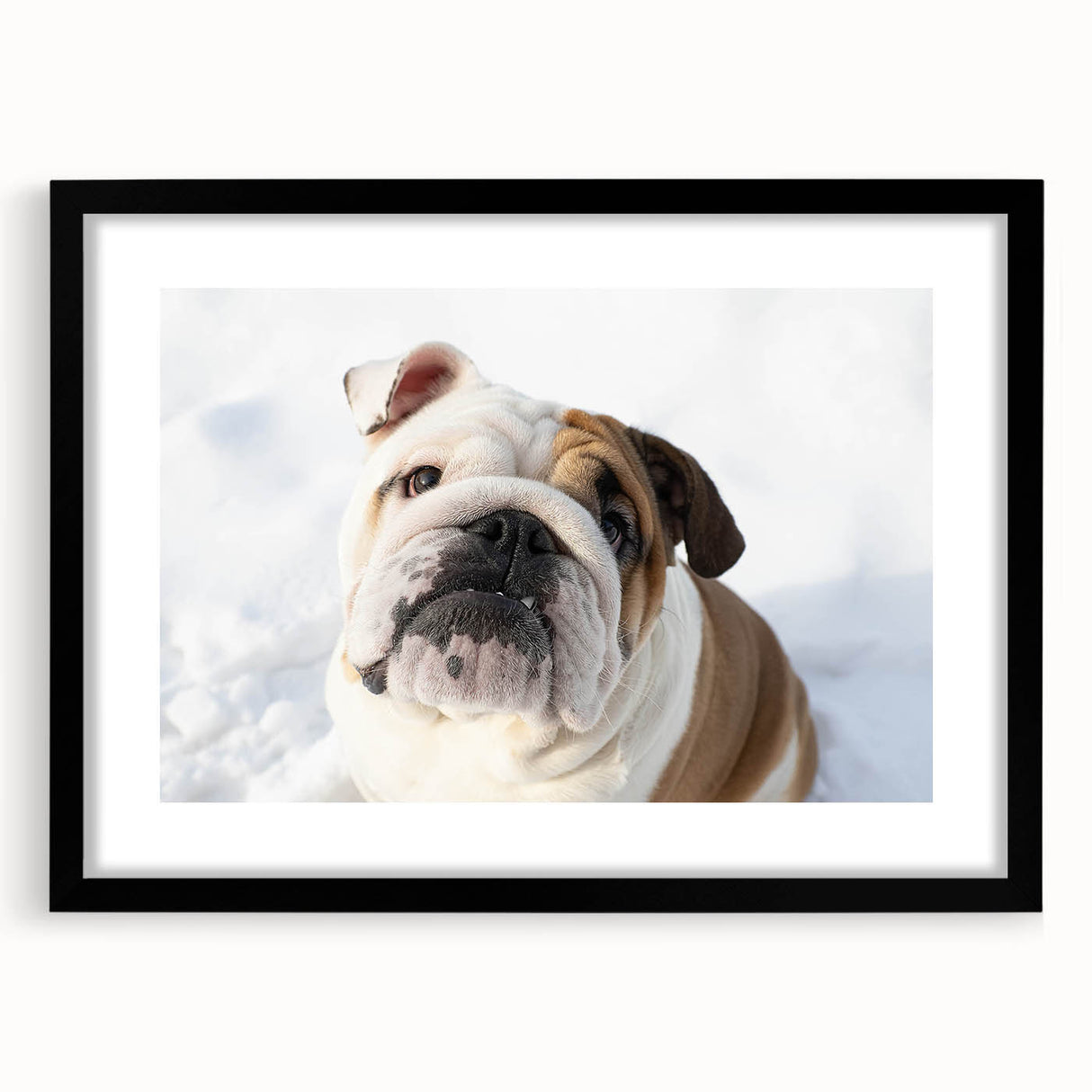 Black-framed wall art featuring a detailed bulldog design, ideal for pet lovers, showcasing vibrant colors and intricate patterns, perfect for home decor.