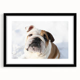 Black-framed wall art featuring a detailed bulldog design, ideal for pet lovers, showcasing vibrant colors and intricate patterns, perfect for home decor.