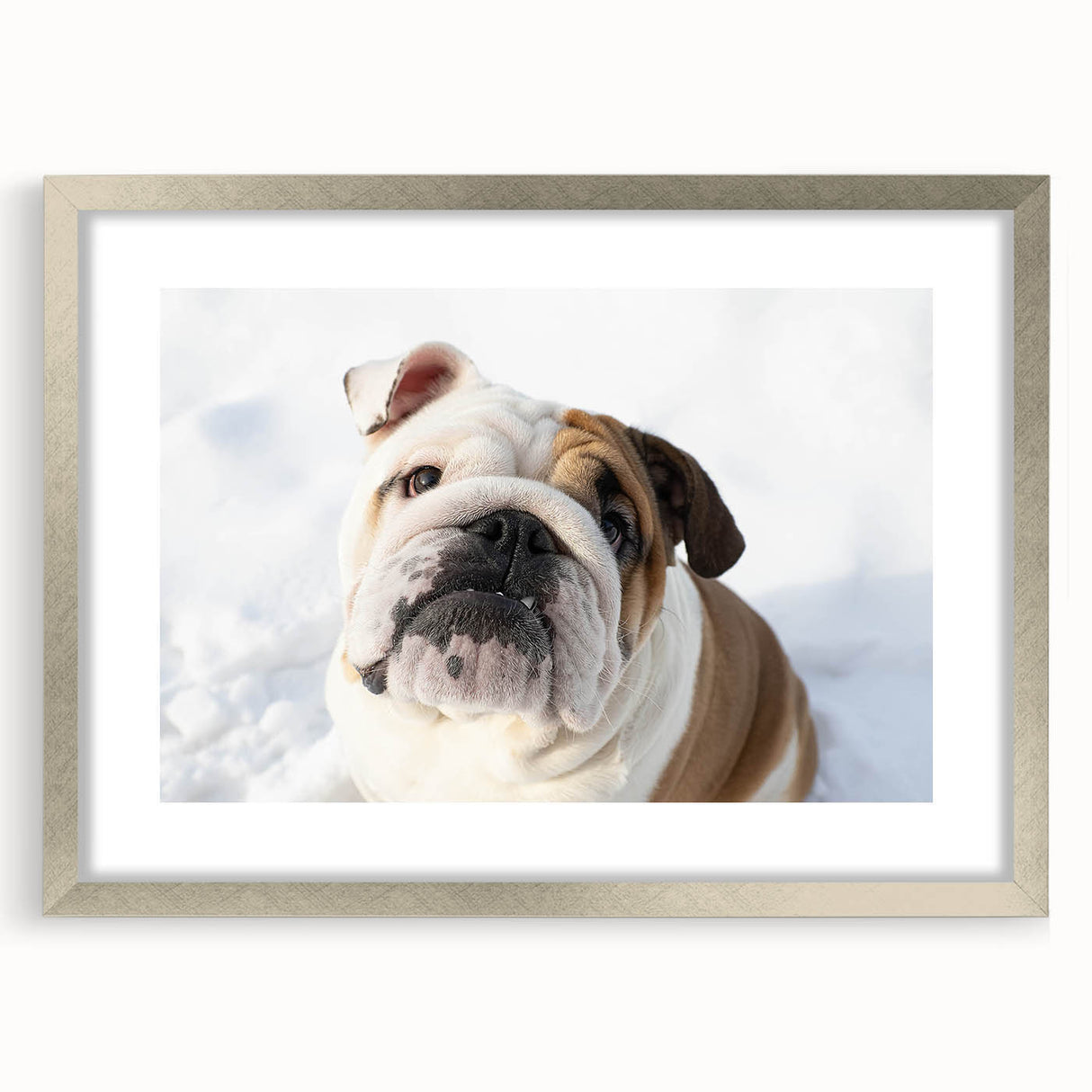 Framed wall art featuring a stylish bulldog design in a silver frame with a mat, showcasing a modern aesthetic ideal for pet lovers' home decor.
