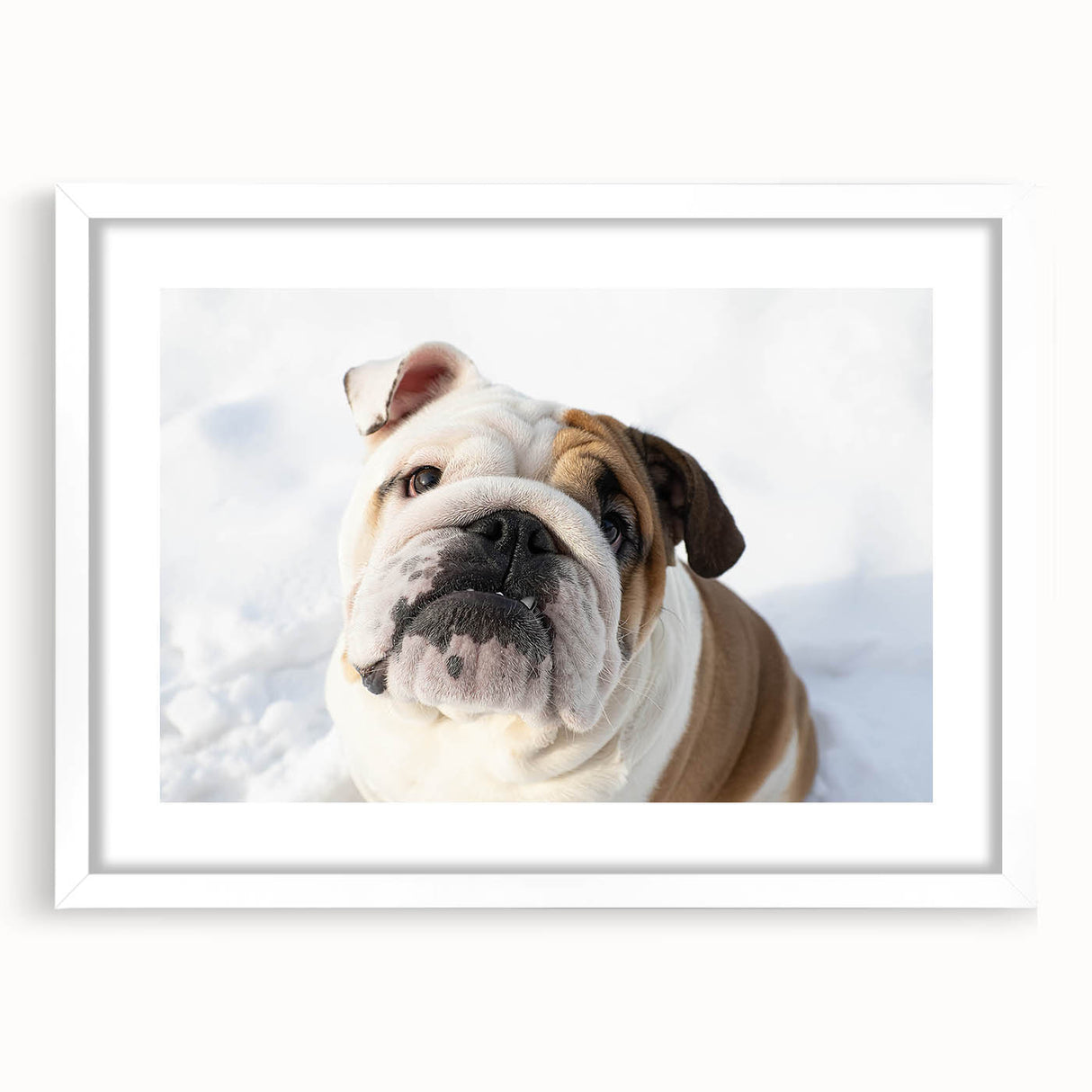 Framed wall art collection showcasing a charming bulldog design, featuring a white mat and sleek frame, perfect for pet lovers’ home decor.