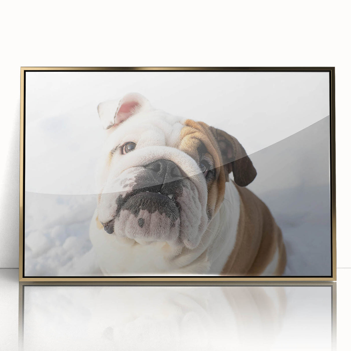 Framed wall art featuring a stylish bulldog design in gold accents, showcasing a front view of the dog against a modern backdrop, perfect for pet lovers' decor.