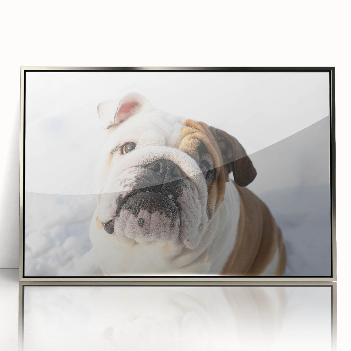 Framed wall art featuring a stylish bulldog design in silver acrylic, showcasing a modern aesthetic perfect for pet lovers. Ideal for home decor and gifting.