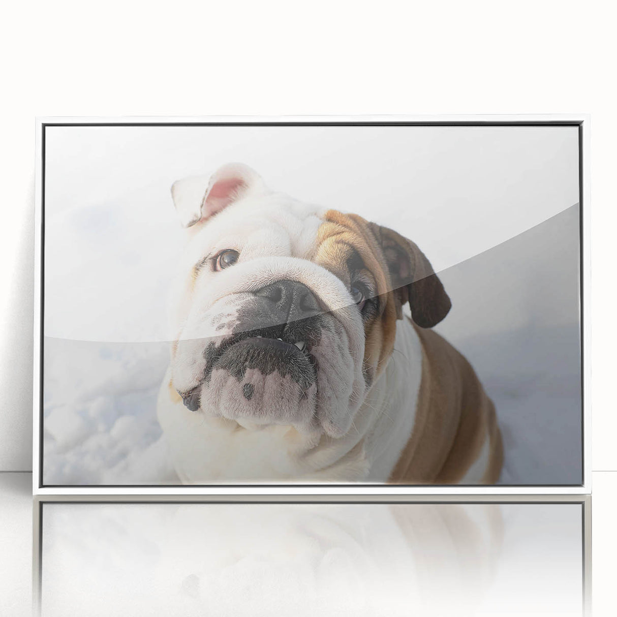 Framed wall art featuring a stylish bulldog design in vibrant colors, set against a white background. Ideal for dog lovers and modern home decor, this piece adds a playful touch to any room.