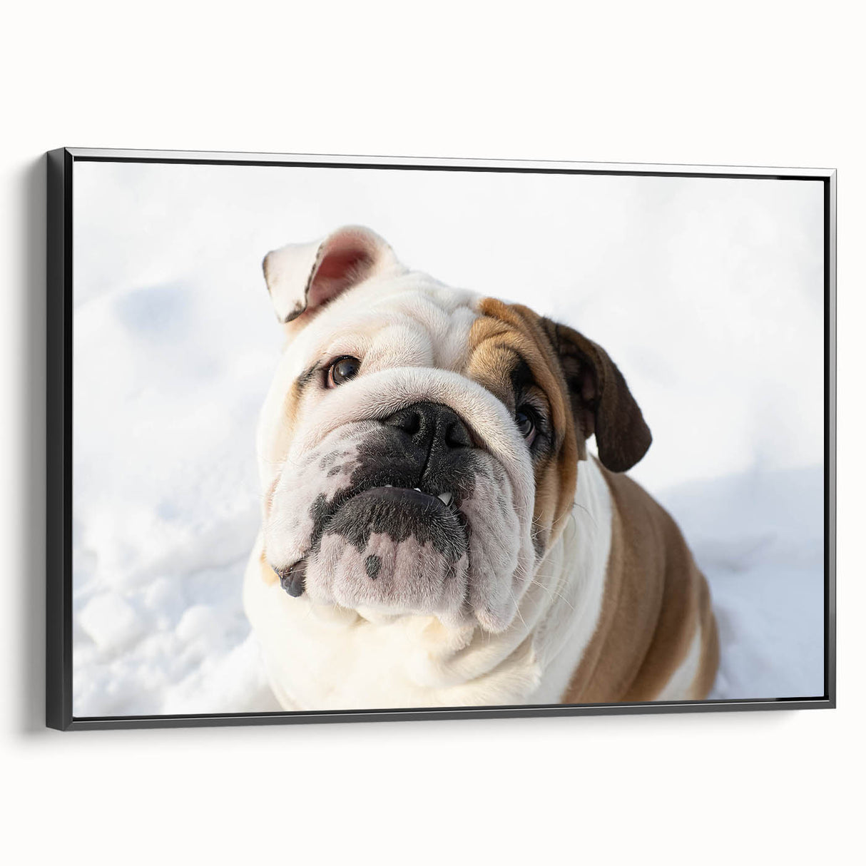 Framed wall art featuring a stylish bulldog design on a textured canvas, showcasing a black background and elegant side view, ideal for dog lovers' decor.