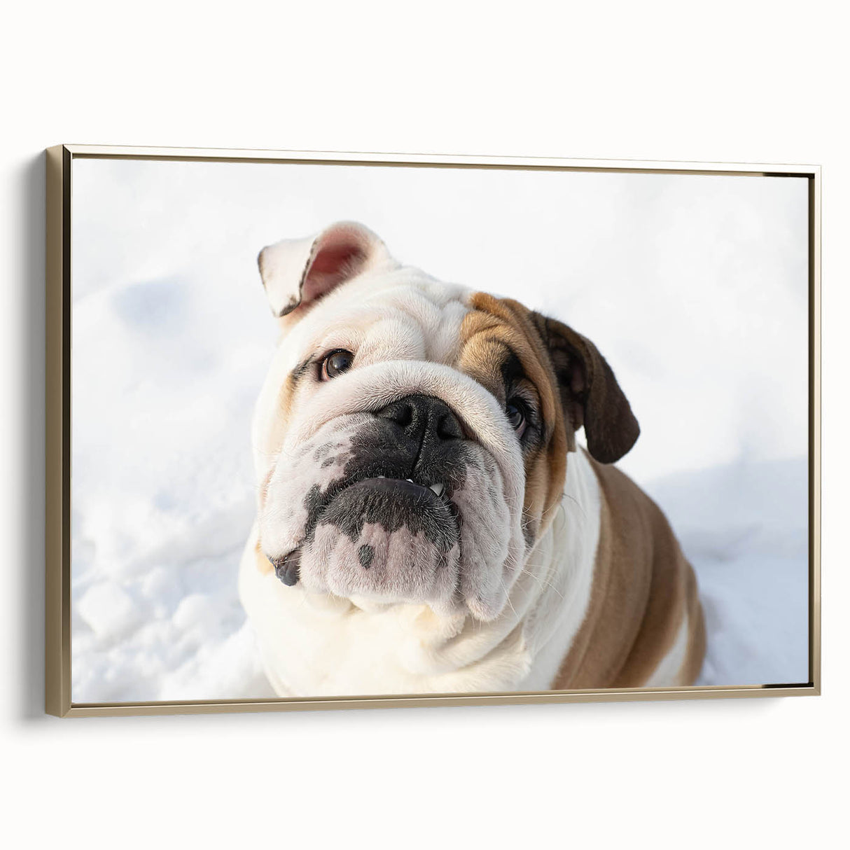 Framed wall art featuring a stylish bulldog design in gold hues, showcasing a side view of the dog, perfect for modern home decor enthusiasts.