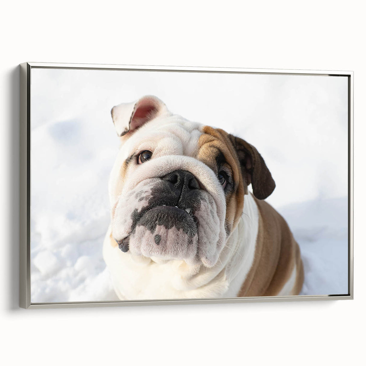 Framed wall art showcasing a sleek silver side view of a bulldog design on canvas, perfect for adding a modern touch to pet-themed decor.