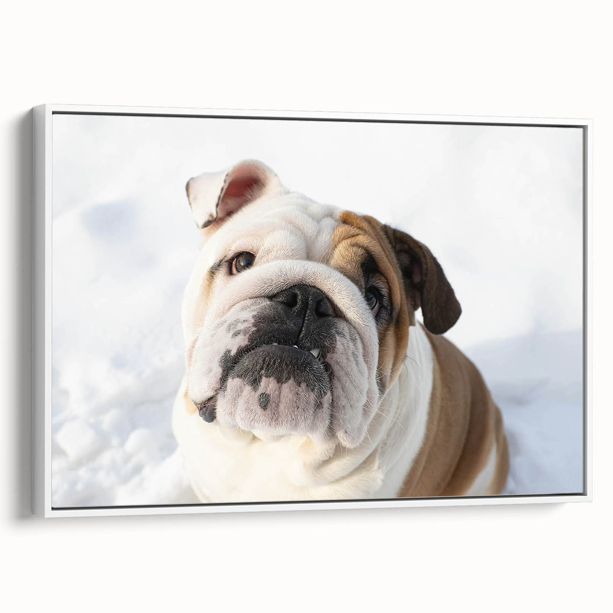 Framed wall art featuring a side view of a bulldog design, showcasing vibrant colors and intricate details against a white background, perfect for dog lovers' home decor.