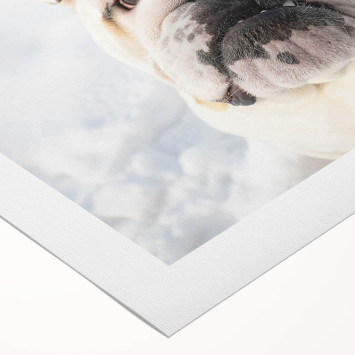 Rolled canvas art showcasing a charming bulldog design in vibrant colors, perfect for pet lovers, presented in a protective cardboard tube for easy display.