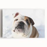Stretched canvas wall art featuring a front view of a playful bulldog design, showcasing vibrant colors and detailed textures, perfect for pet lovers' home decor.