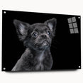 Acrylic glass wall art collection featuring a side view of a bulldog design, showcasing vibrant colors and detailed textures, ideal for dog lovers and home decor.