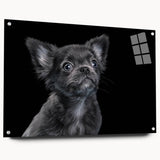 Acrylic glass wall art collection featuring a side view of a bulldog design, showcasing vibrant colors and detailed textures, ideal for dog lovers and home decor.