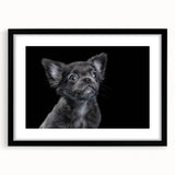 Framed wall art collection featuring a stylish bulldog design, showcasing a black mat and sleek black frame, perfect for dog lovers' home decor.