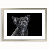 Framed wall art featuring a stylish bulldog design, presented in a sleek silver frame with a white mat, ideal for dog lovers and modern home decor.