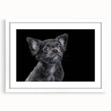 Framed wall art collection showcasing a stylish bulldog design on a white mat, perfect for dog lovers' home decor. Ideal for adding a modern touch to any room.