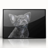 Framed wall art featuring a stylish bulldog design in black acrylic frame, showcasing a vibrant and playful illustration, perfect for pet lovers and home decor.