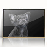 Framed wall art collection showcasing a bulldog design, featuring gold accents and a sleek acrylic finish, perfect for pet lovers' home decor.