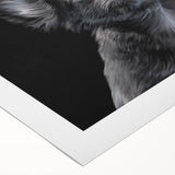 Bulldog-themed rolled canvas wall art collection showcasing vibrant colors and unique designs, perfect for pet lovers' home decor. Ideal for enhancing living spaces.